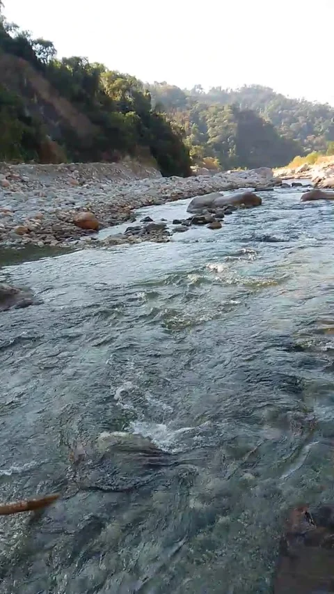 The river glides over a bed of stones Stock Footage 278093061