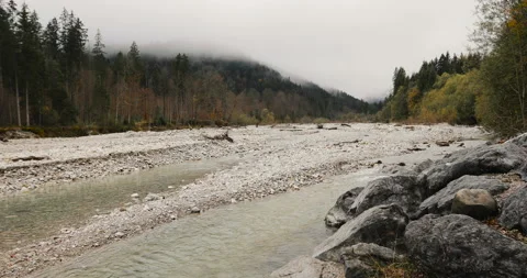 River in the gloomy forest Stock-Footage 101543787