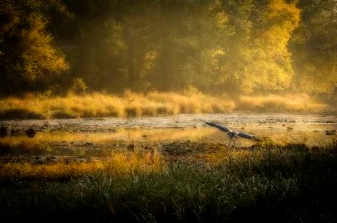 River glow Stock Photos