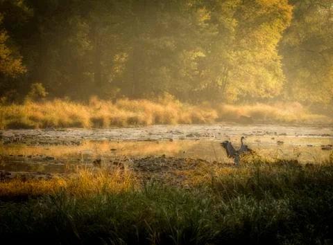 River glow Stock Photos