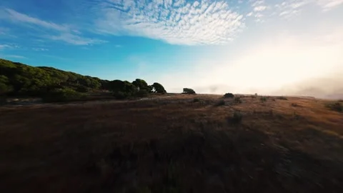 River glows under morning sun Stock Footage 340904181