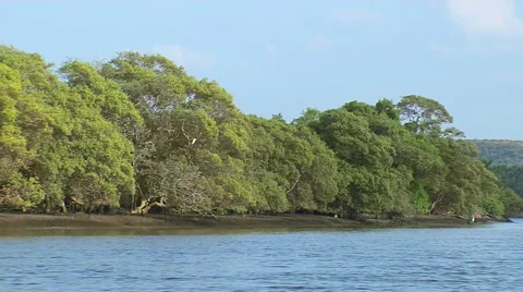 River in Goa, India Stock-Footage 52714542