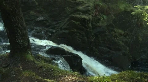 River Goes By Video stock 8570525