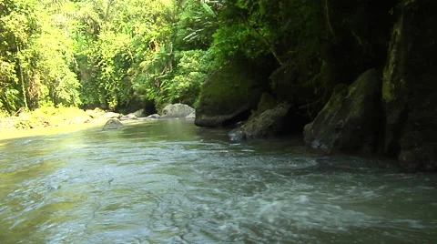 River going through rain forest and tropical trees in Bali Stock Footage 41379727
