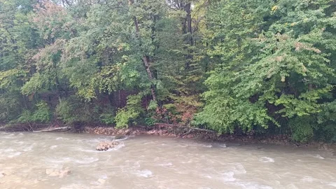 The river in the gorge Stock Footage 288358015