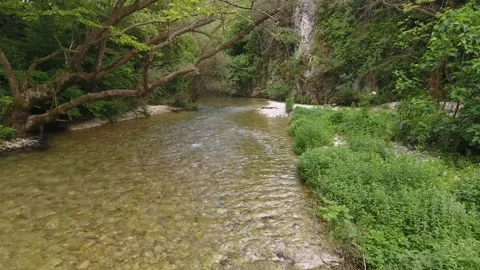 River of Gormos Stock Footage