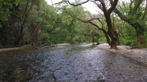 River of Gormos Stock Footage 135028619