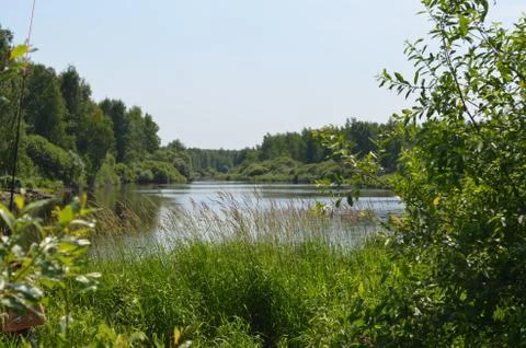 The river in the grass Stock Photos