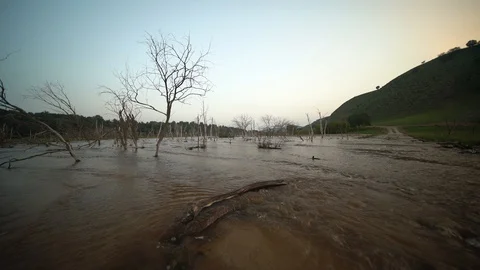 A river in grassland Stock Footage 93219412