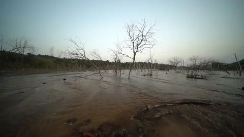 A river in grassland Stock Footage 93219422