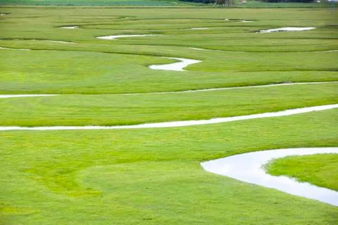 The river on the grassland Stock Photos