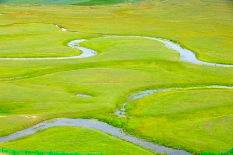 The river on the grassland Stock Photos