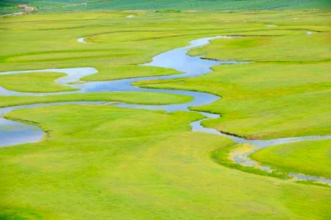 The river on the grassland Stock Photos