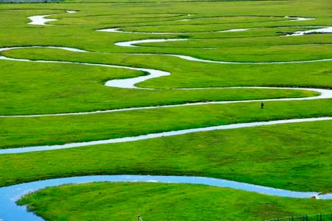The river on the grassland Stock Photos
