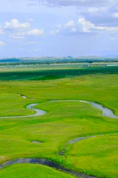 The river on the grassland Stock Photos