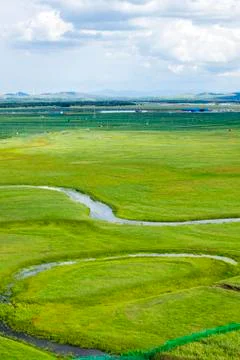 The river on the grassland Stock Photos