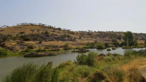 River in the grassy tundra 스톡 동영상 120012908