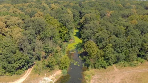 River with green duckweed and algae. Video stock 91945446
