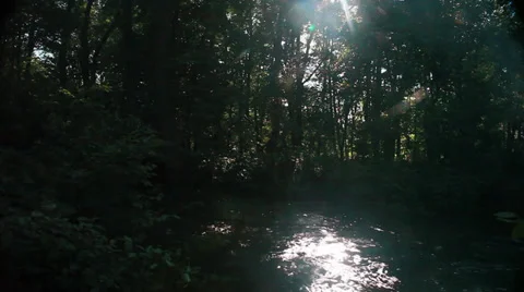 River in green forest Stock Footage 34772219
