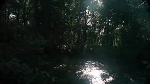 River in green forest Stock Footage 34776941