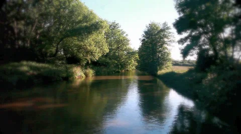 River in green forest Stock Footage 34829636