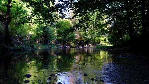 River in green forest Stock Footage 139054553