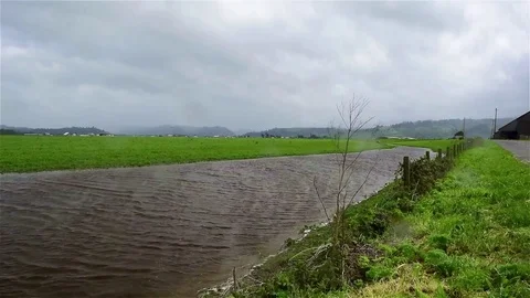 River Green Storm Video stock 75010405