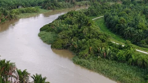 River with a green tree bush on either side. Aerial Bandar Baharu, Kedah 스톡 동영상 325844437