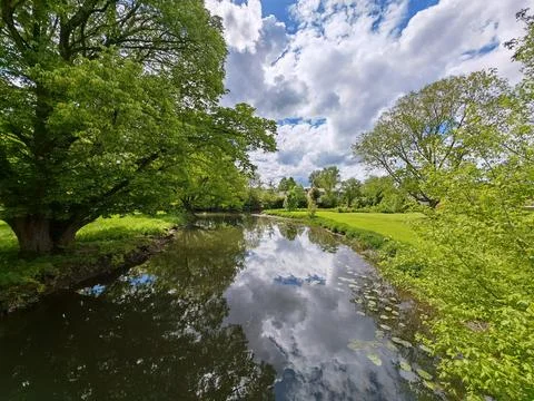 River with green trees and reflections of sky Фото