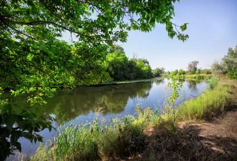 River with green trees on the beach Stock Photos