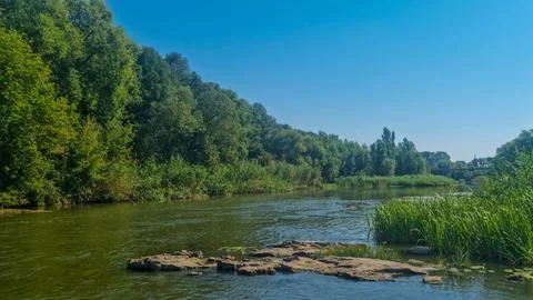 River with green trees, reeds, and rocky shore under blue sky in summer Stock Photos