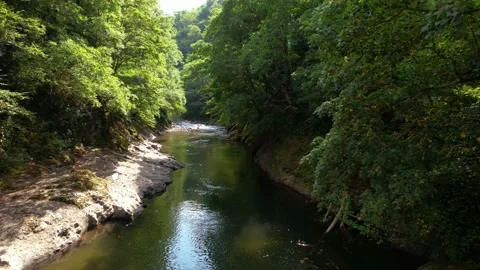 River in the green valley Stock Footage 236975871