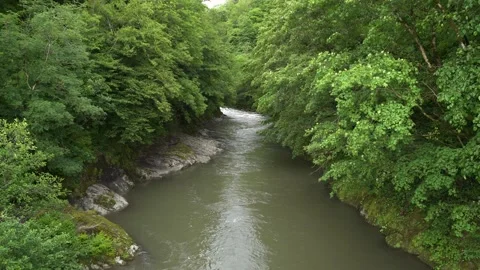 River in the green valley Stock Footage 237869068
