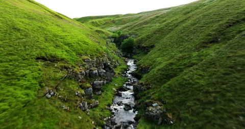 River in a green valley Stock Footage 312411533