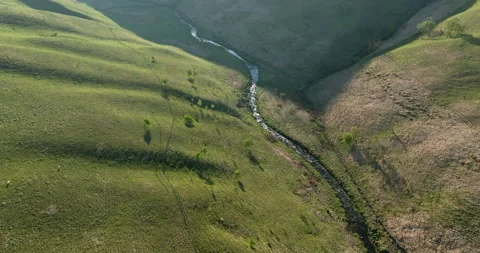 River in a green valley Stock Footage 335272568