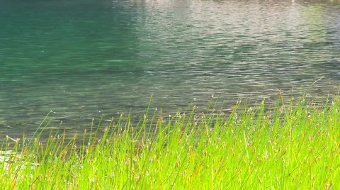 River with greenery around it Stock Footage