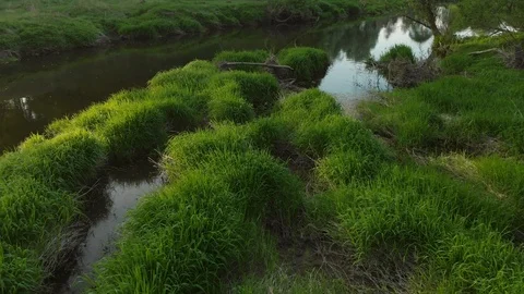 River greenery 스톡 동영상 89672062
