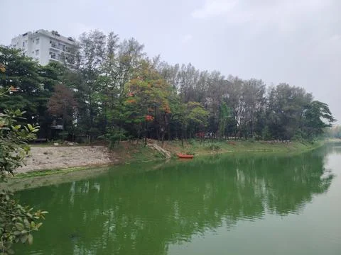 A river with greenish water flows through a serene area bordered by lush tr.. Stock Photos