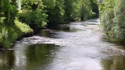 River Greta in Keswick Stock Footage 301213795