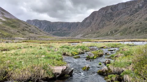 River on the Gros Morne mountain trail in the Gros Morne National Park Stock Footage 320832864