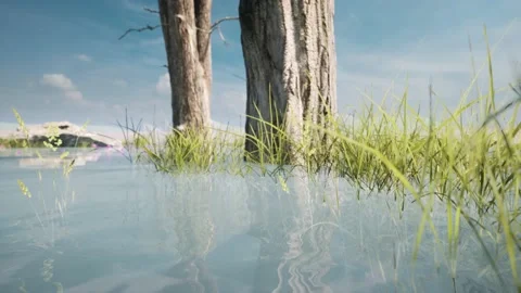 A river with growing grass and trees. Sunny weather with blue skies Stock Footage 233621775