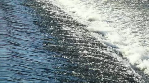 River gulls Stock Footage 24648118