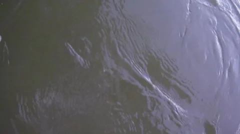 River, head in a straw hat 스톡 동영상 53423530