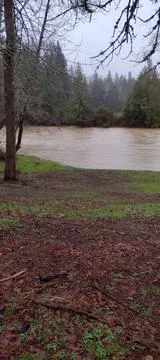 River at high water level in winter Stock Photos