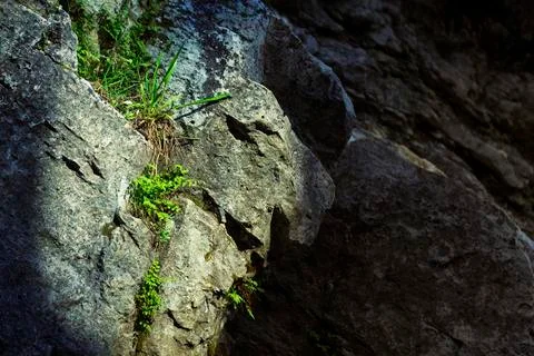 River Highlight Stock Photos