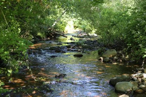 River highline Stock Photos