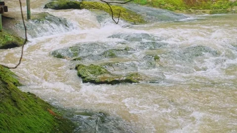 River in hipster style Stock Footage 203944580