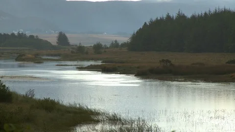 River, Homes and Hillside Stock Footage 119004743