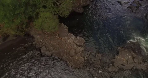 River - Huilo Huilo Park - Chile Stock Footage