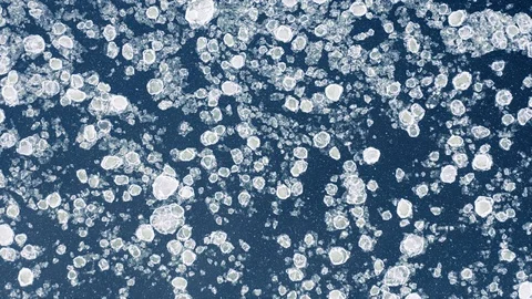 River ice floe in winter, snow falling down, aerial top down view Stock-Footage 101094096